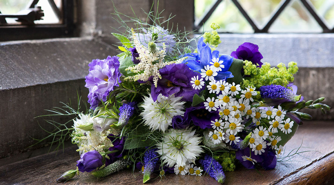 Blumen ABC letzter hafen