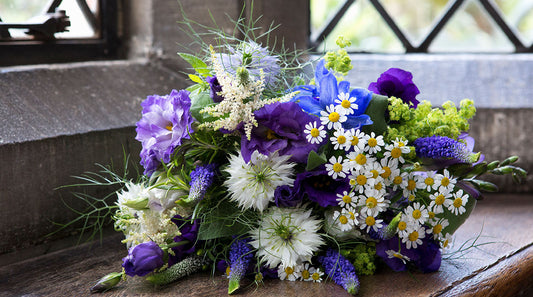 Blumen ABC letzter hafen